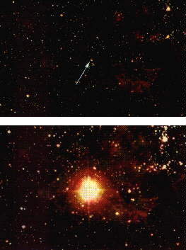Supernovaen i 1987 fr og efter eksplosionen.