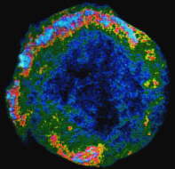Rngtenefterglden af Tychos supernova. Strlingen dannes nr udslynget stof stder ind i den gas der er mellem stjernerne. Diameteren er 24 lysr.